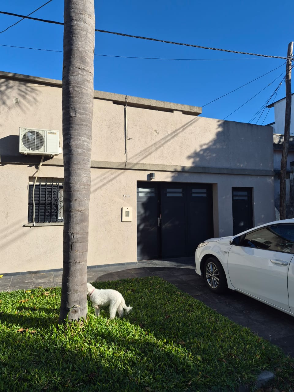 Dorrego 5755